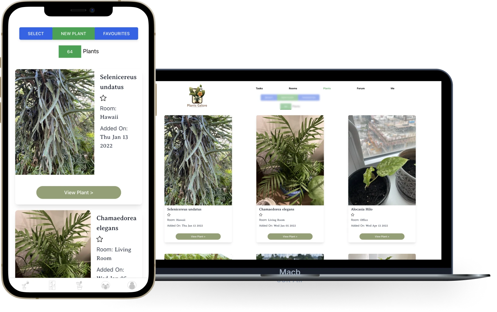 Discover Free Plant Identifier and Plant Care App Plants Galore